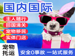 遵义茅台机场快运国际宠物托运 【国